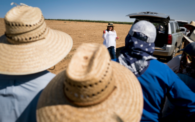 UC Davis farmworker training led by the Western Center for Agricultural Health and Safety